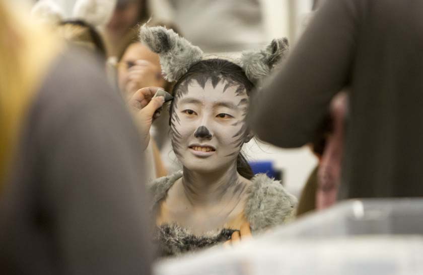 Drama - CATS